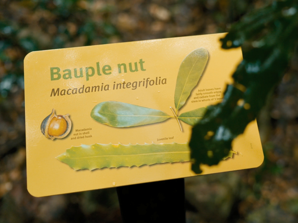 Bauple nut sign on Wild Macadamia Walk